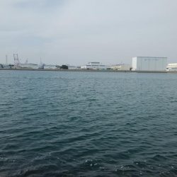 東二見水道で落ちギス釣り