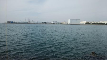 東二見水道で落ちギス釣り