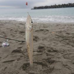 クリスマスでもキス