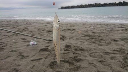 クリスマスでもキス