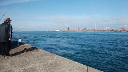 東二見水道でキス釣り