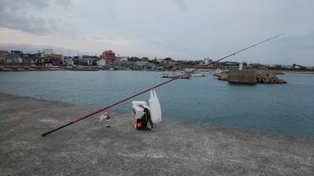 江井ヶ島漁港へ落ちギス釣査