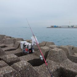 東二見水道へ落ちギス釣査