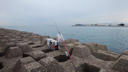 東二見水道へ落ちギス釣査