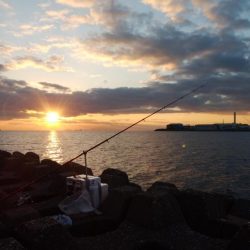 播磨新島・東二見水道共にキスが居ません