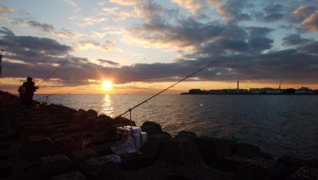 播磨新島・東二見水道共にキスが居ません