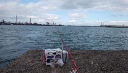 播磨新島で落ちギス釣り