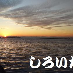 タチウオからの・・・