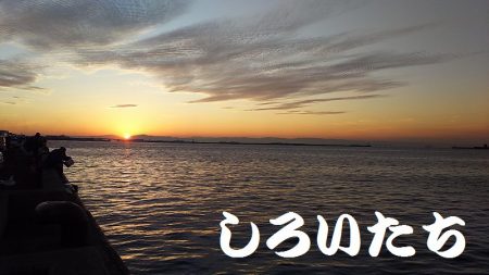 タチウオからの・・・