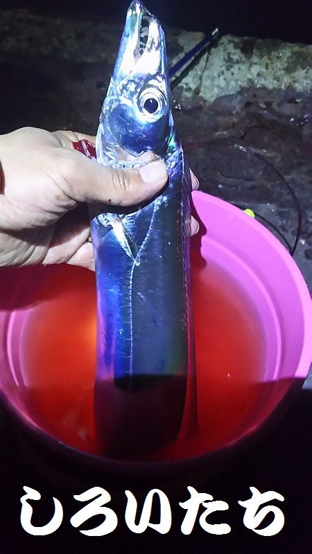 両親と今年最後？の釣り。