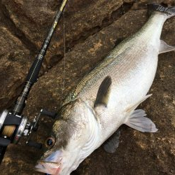 風が吹かないと…