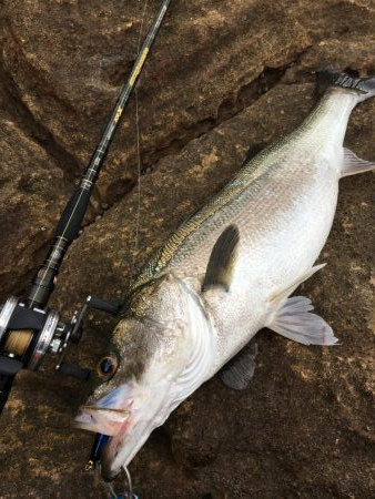 風が吹かないと…