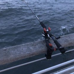 極寒のシーサイドコスモ