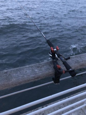 極寒のシーサイドコスモ