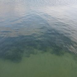 江井ヶ島漁港・江井ヶ島海岸