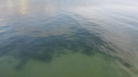 江井ヶ島漁港・江井ヶ島海岸