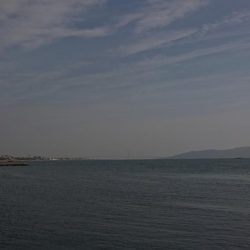 まぁまぁのタケノコメバル