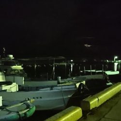 メバリング？ガシリング！