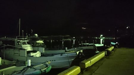 メバリング？ガシリング！