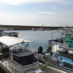 江井ヶ島漁港・穴釣り