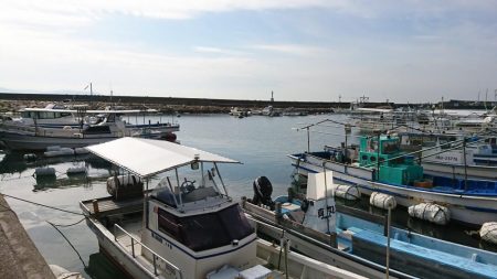 江井ヶ島漁港・穴釣り