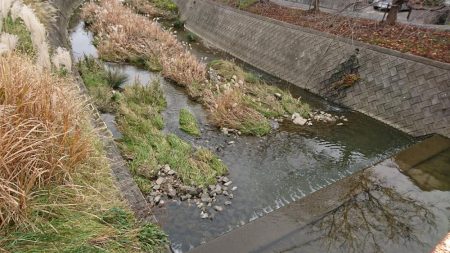 明石・赤根川小物釣り