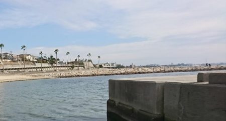 釣り納め・でかアイナメ