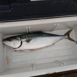 全く食い気がない中で