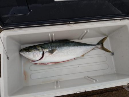 全く食い気がない中で