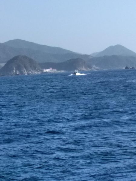 グレ5匹・・・・