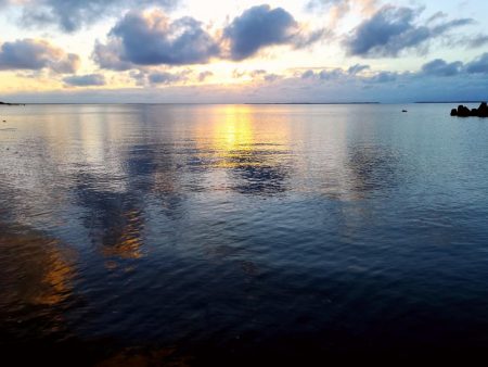 早朝、カースビー記録更新しました。