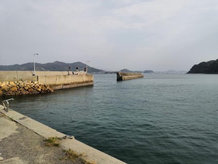 カレイ、メバル