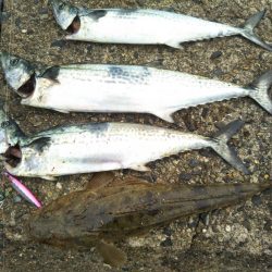 一時間半勝負！