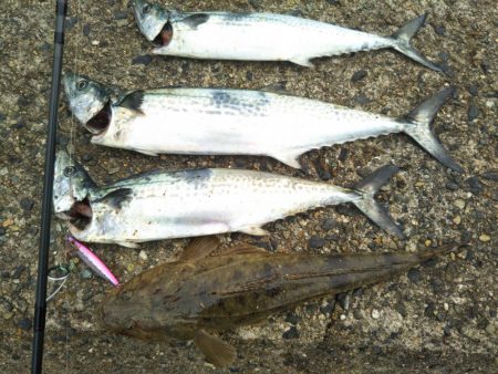 一時間半勝負！