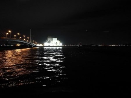 南港カモメ大橋ヘチ釣行 （ガシラ、ハゼ、小シーバス　釣果有り）