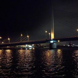 南港カモメ大橋ヘチ釣行 （ガシラ好釣果、小シーバス　釣果有り）