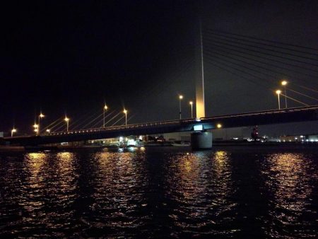 南港カモメ大橋ヘチ釣行 （ガシラ好釣果、小シーバス　釣果有り）