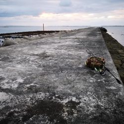 早朝の沖縄！長い魚だけヒットです。