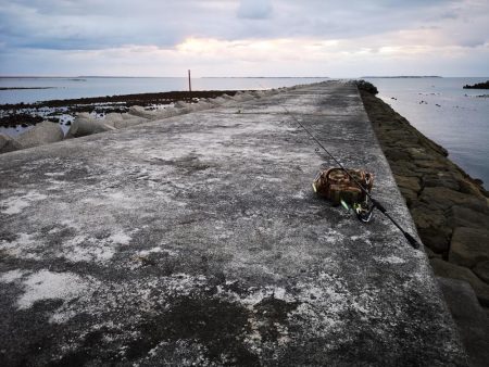 早朝の沖縄！長い魚だけヒットです。