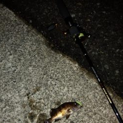 移動中に少しだけ