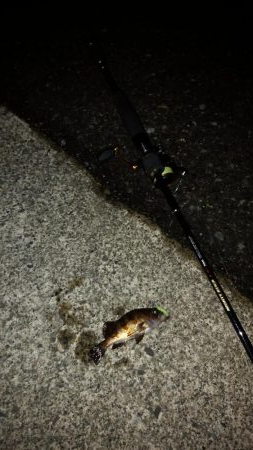 移動中に少しだけ