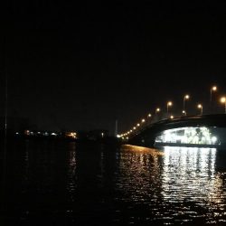 南港カモメ大橋ヘチ釣行 （霧雨降るかもめで ガシラ、ハゼ、シーバス　釣果有り）