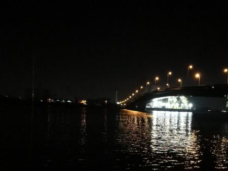 南港カモメ大橋ヘチ釣行 （霧雨降るかもめで ガシラ、ハゼ、シーバス　釣果有り）