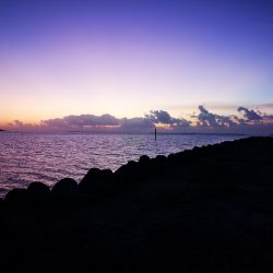 青物は釣れなくなり、長いのは高活性