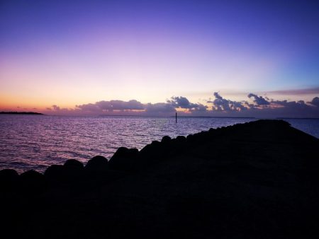 青物は釣れなくなり、長いのは高活性