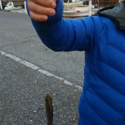 クリスマス家族サービス？