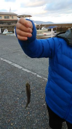 クリスマス家族サービス？