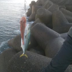 元旦釣行行きましたー