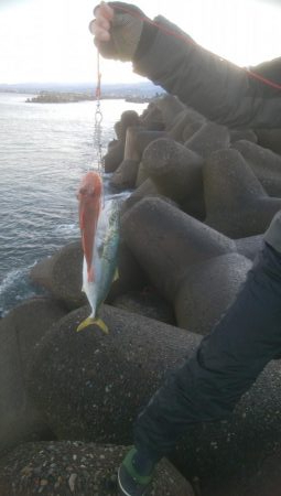 元旦釣行行きましたー