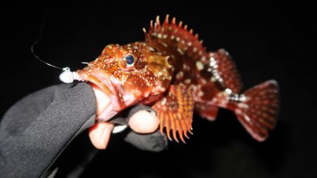 東風の時は川奈港。